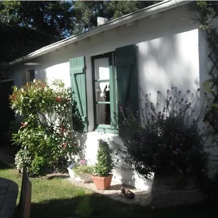 Les Joncinois Guest house *